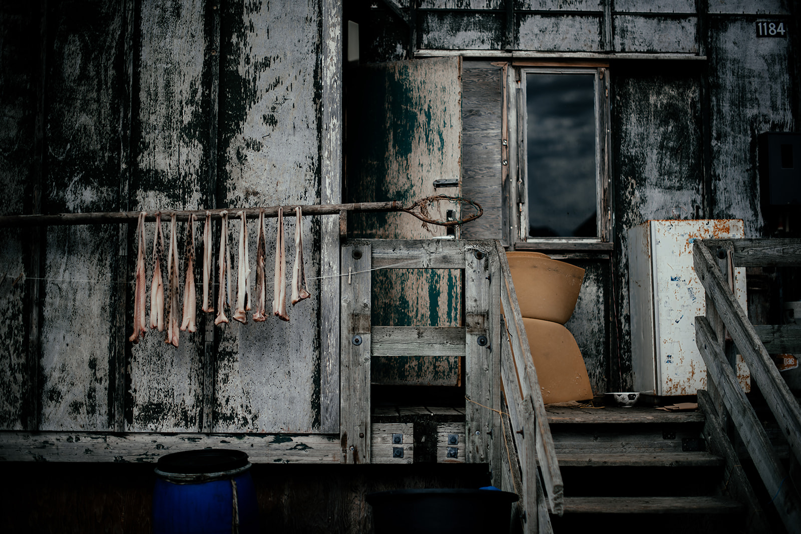 dried fish at a house on Greenland