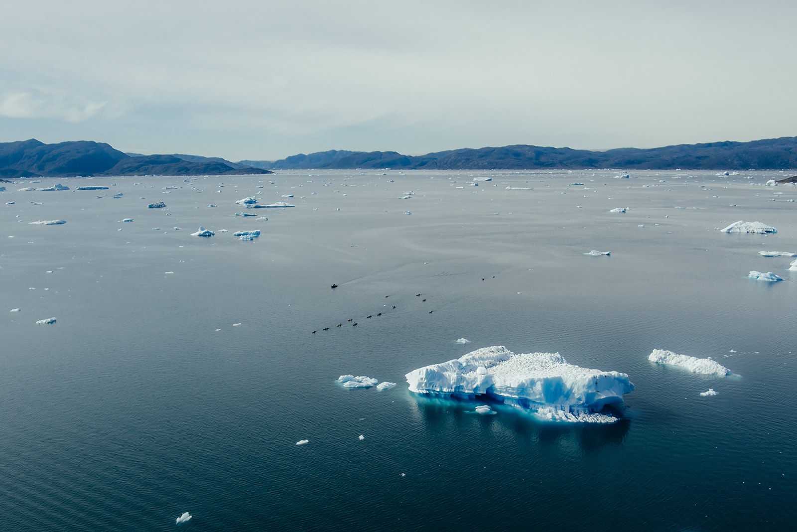 icebergs in bay on Greenland