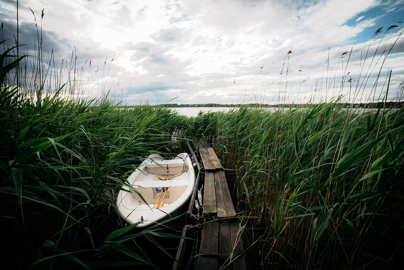 small boat at tiny wooden pier in the reed in Sweden