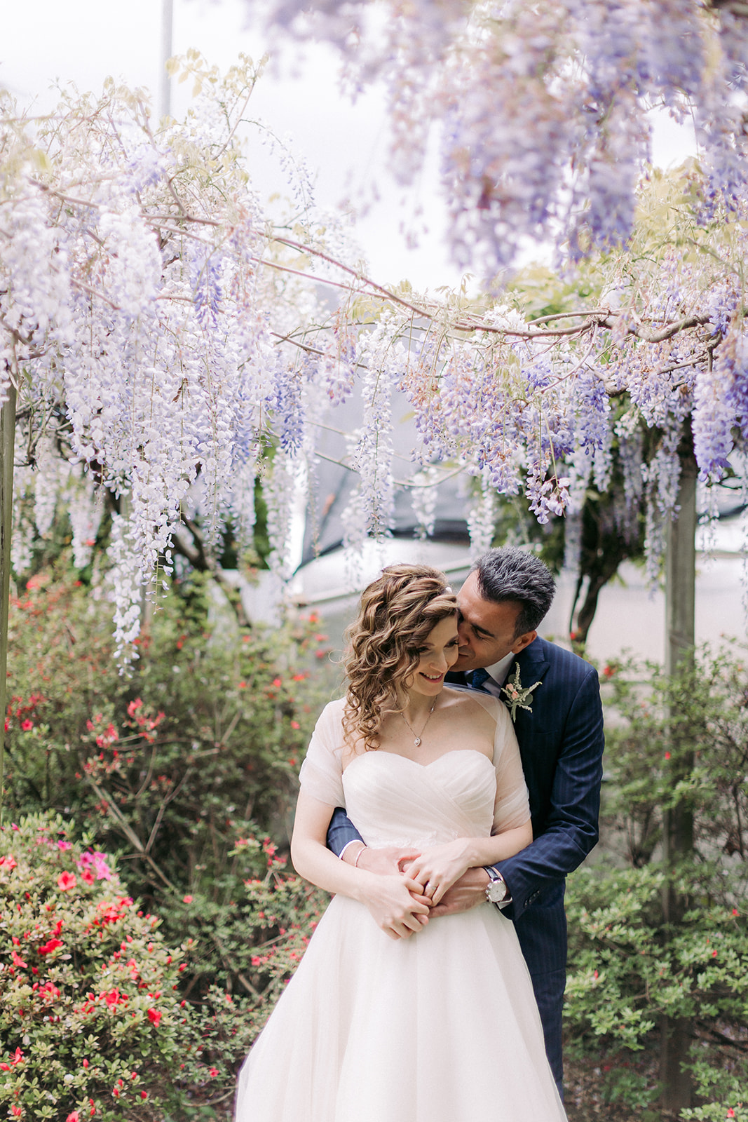 wedding couple under wisteria