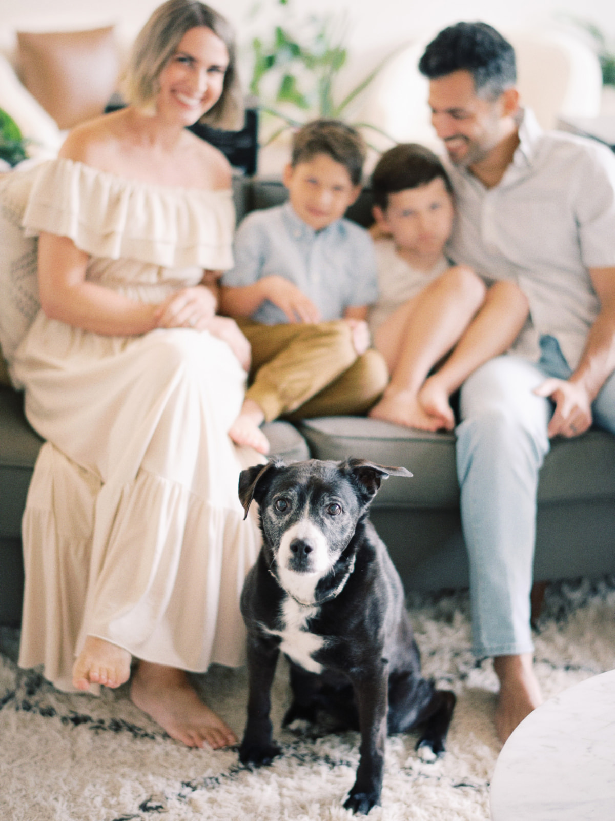 family photos with your dog at home in West Linn, oregon