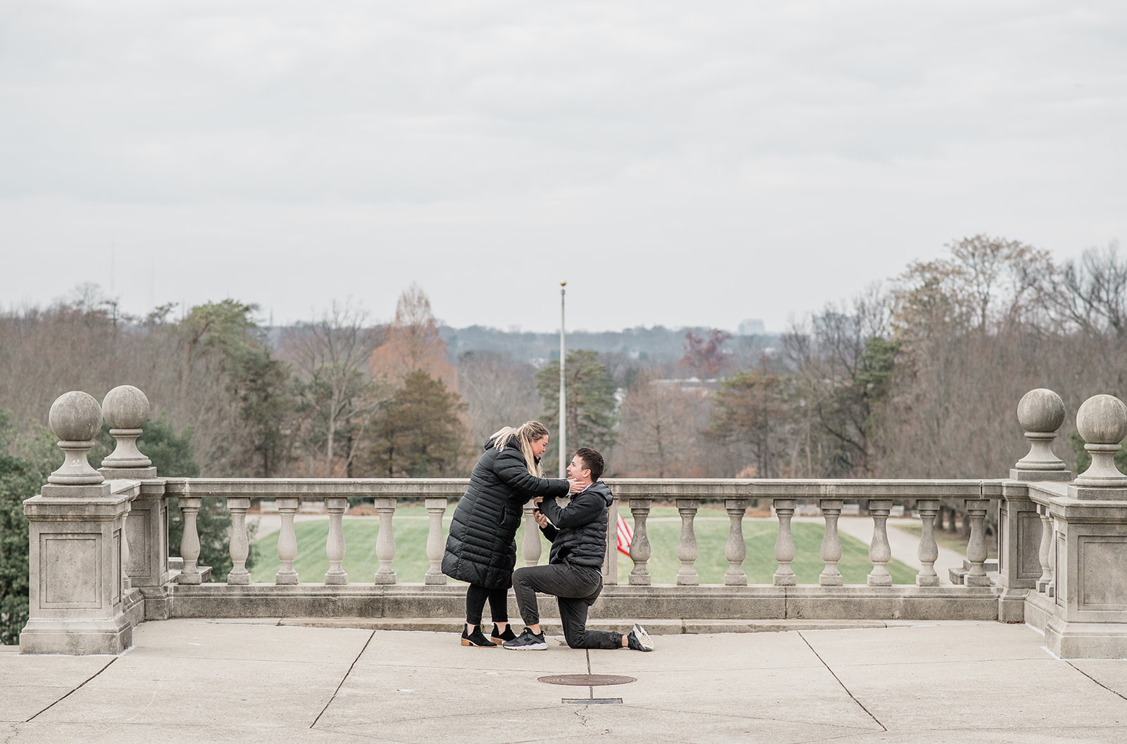 Winter Proposal in Ault Park 