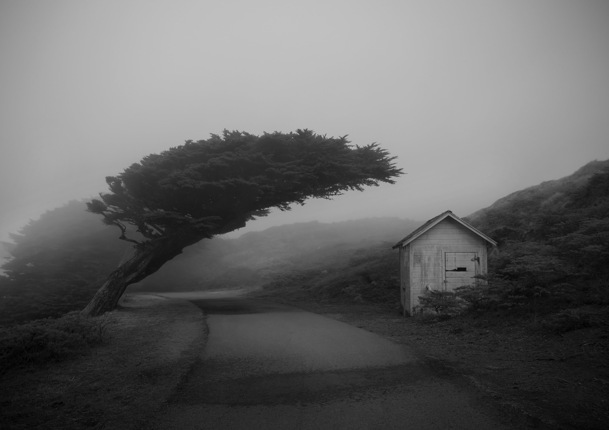 a-quiet-place