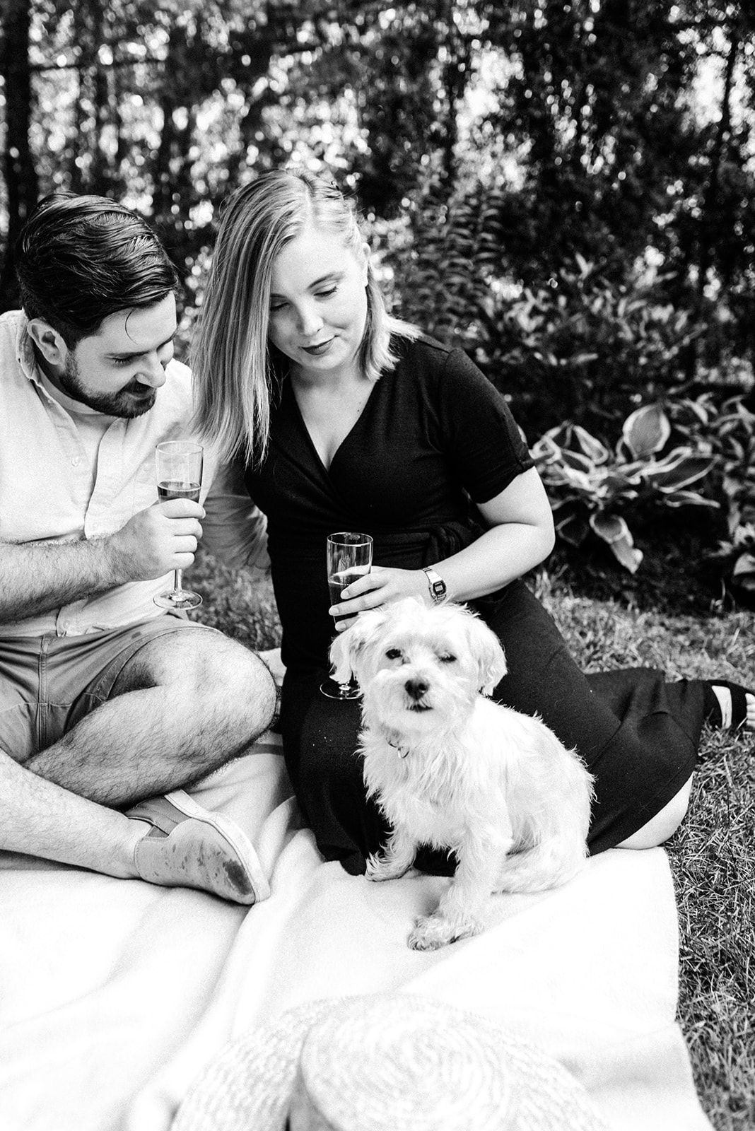 newly engaged couple having picnic with their dog