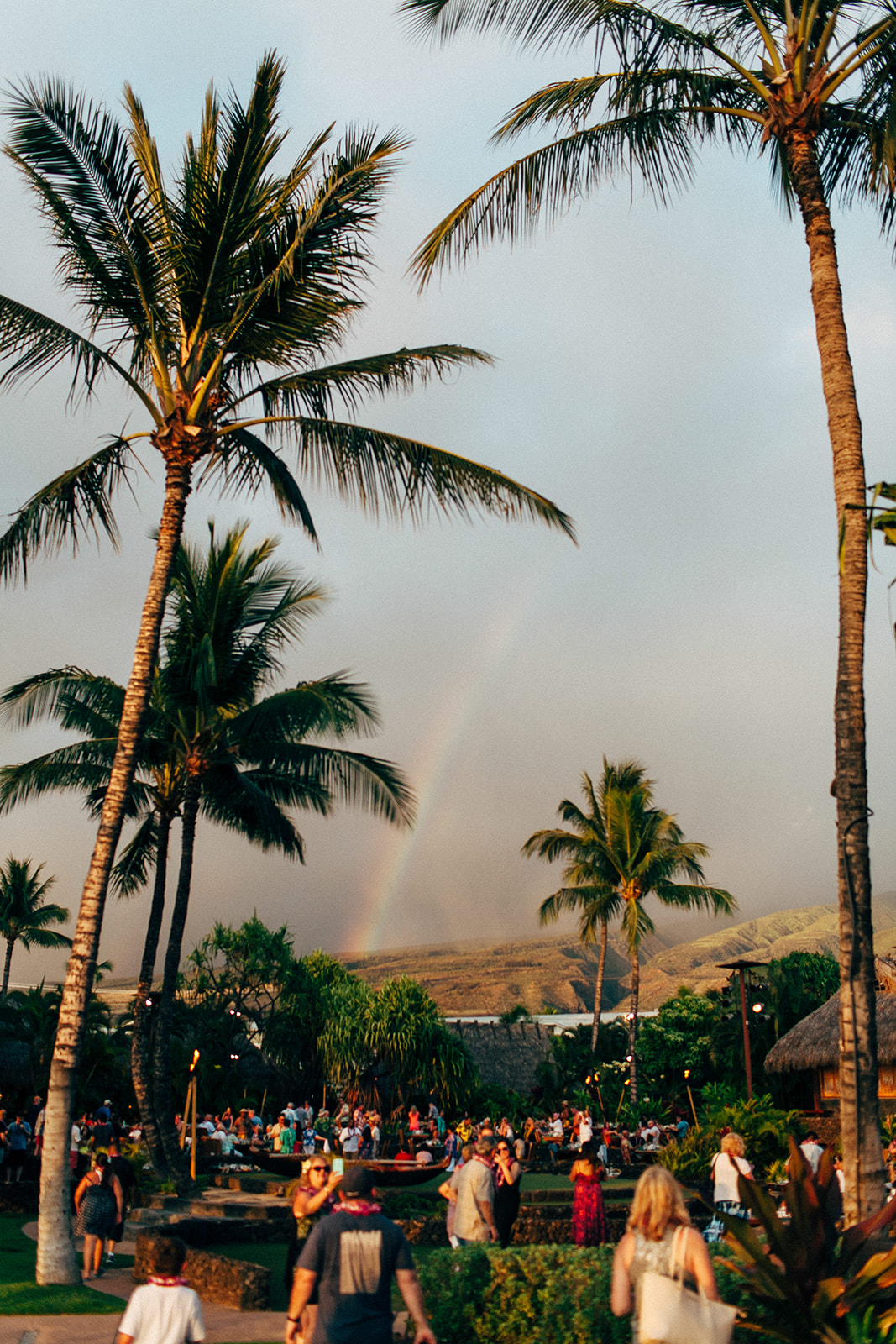 Rainbow over the palm trees in Hawaii
