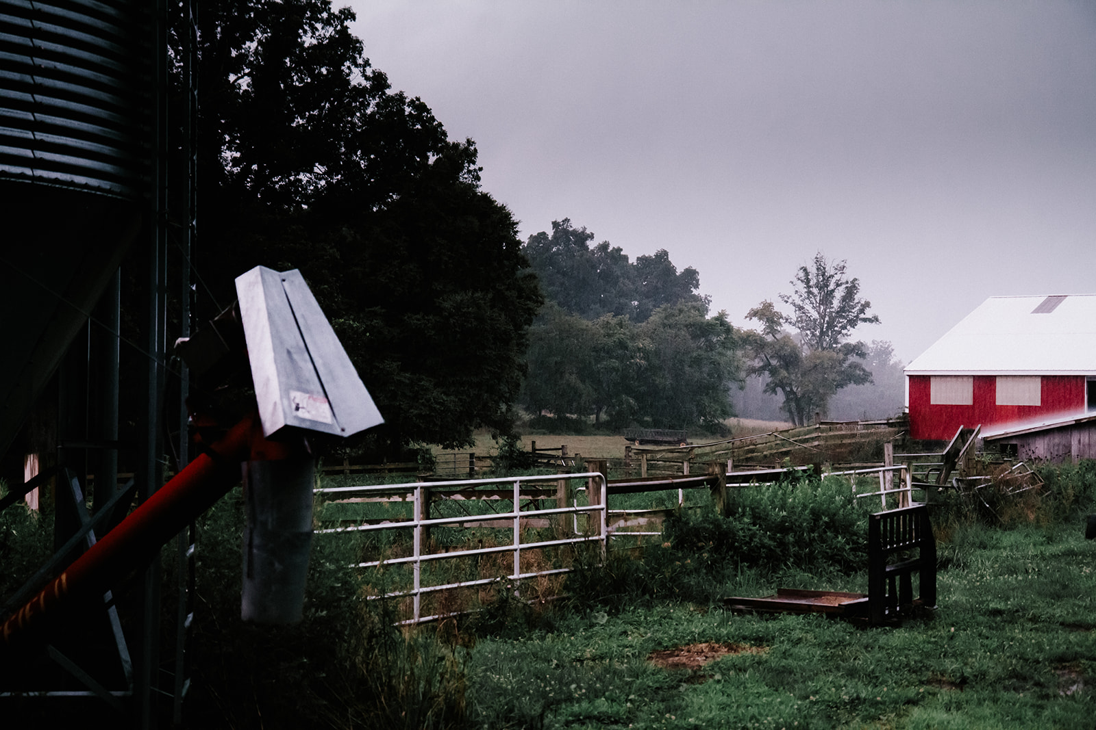 photos of a couple on a farm during a summer rain storm