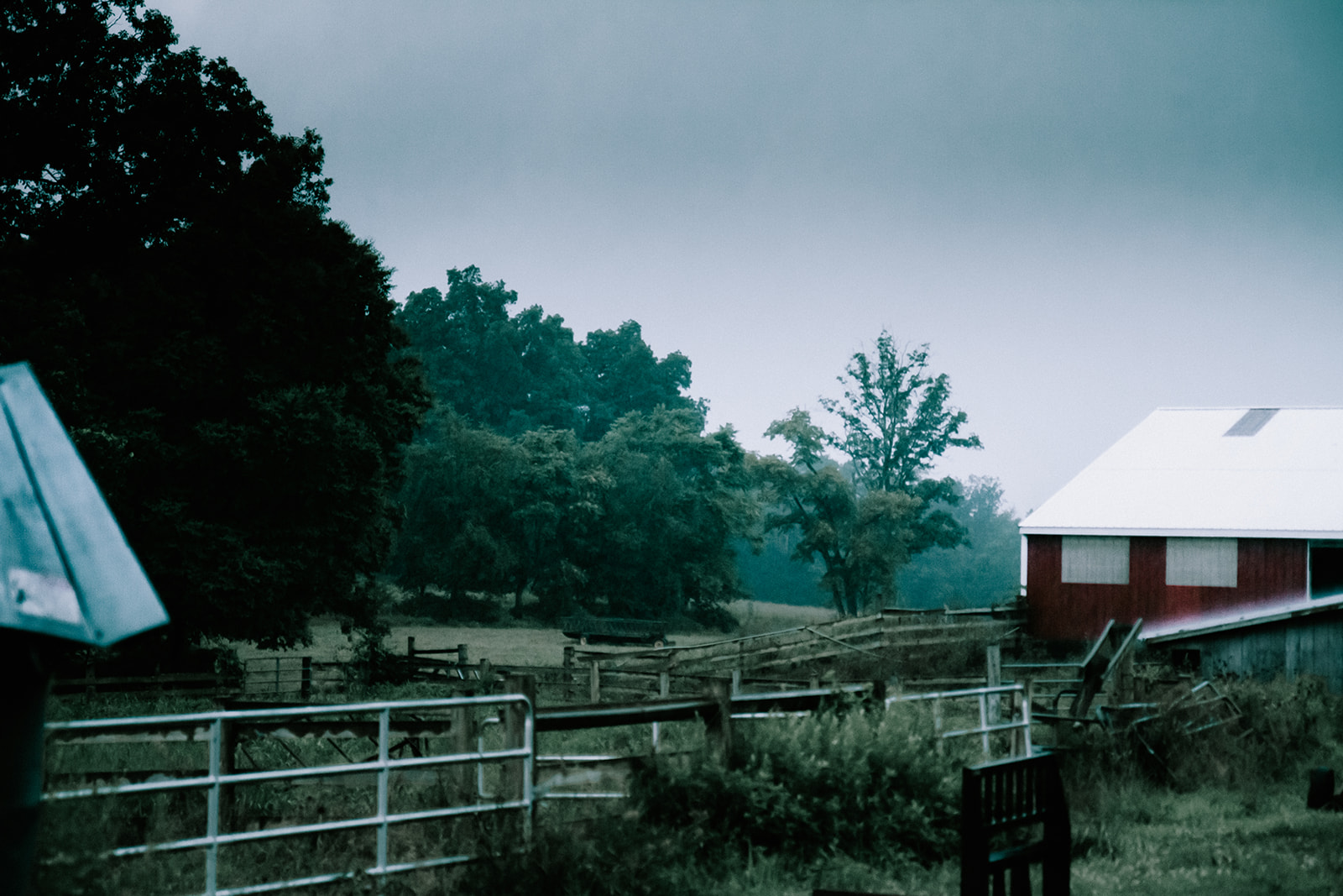 photos of a couple on a farm during a summer rain storm