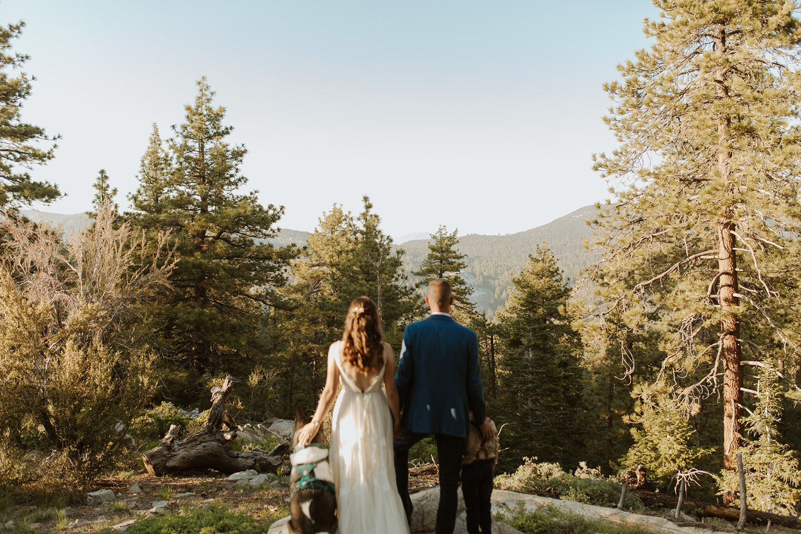 couple has adventurous outdoor Big Bear Elopement on the Pacific Crest Trail