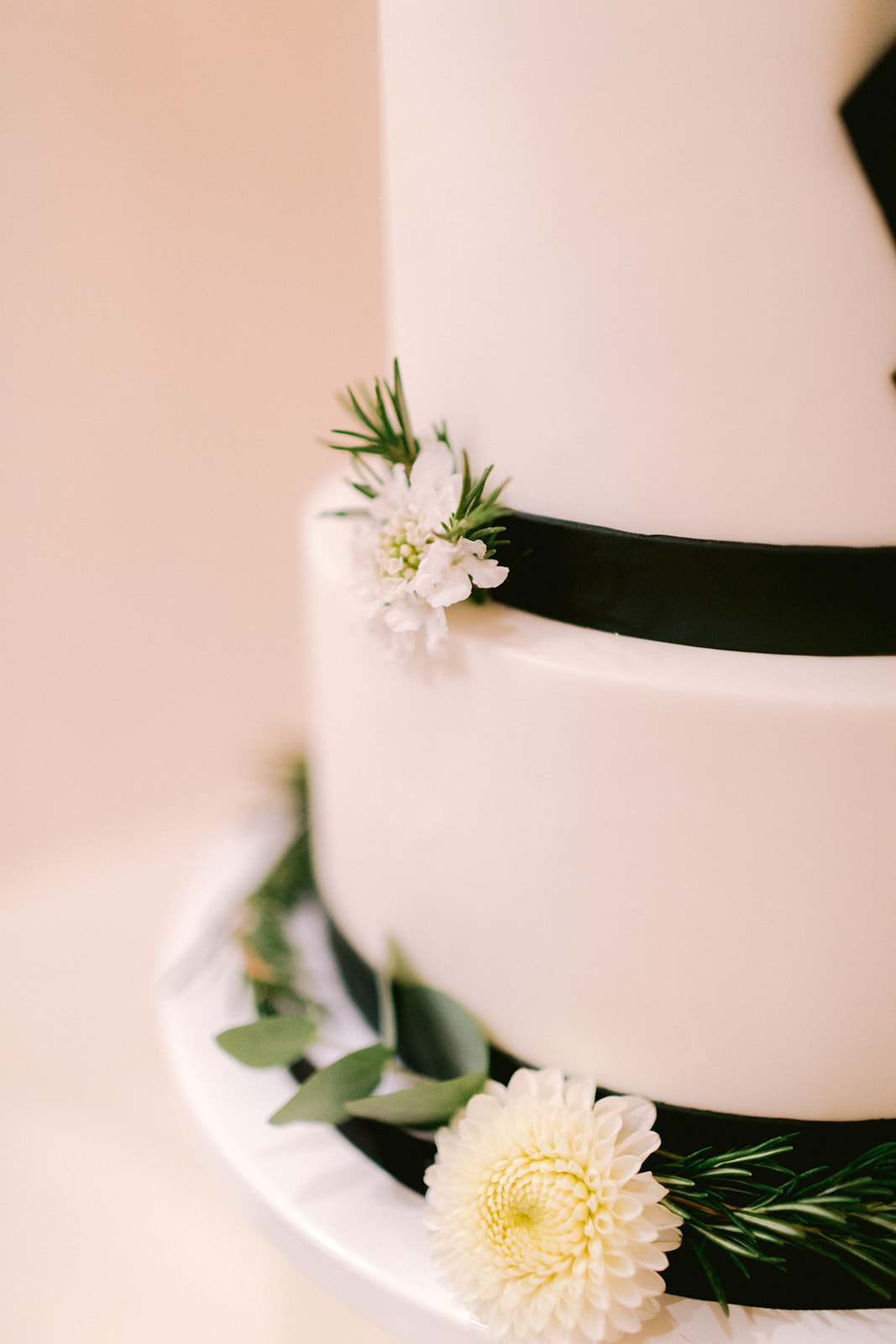 Tuxedo wedding cake Seattle Wedding