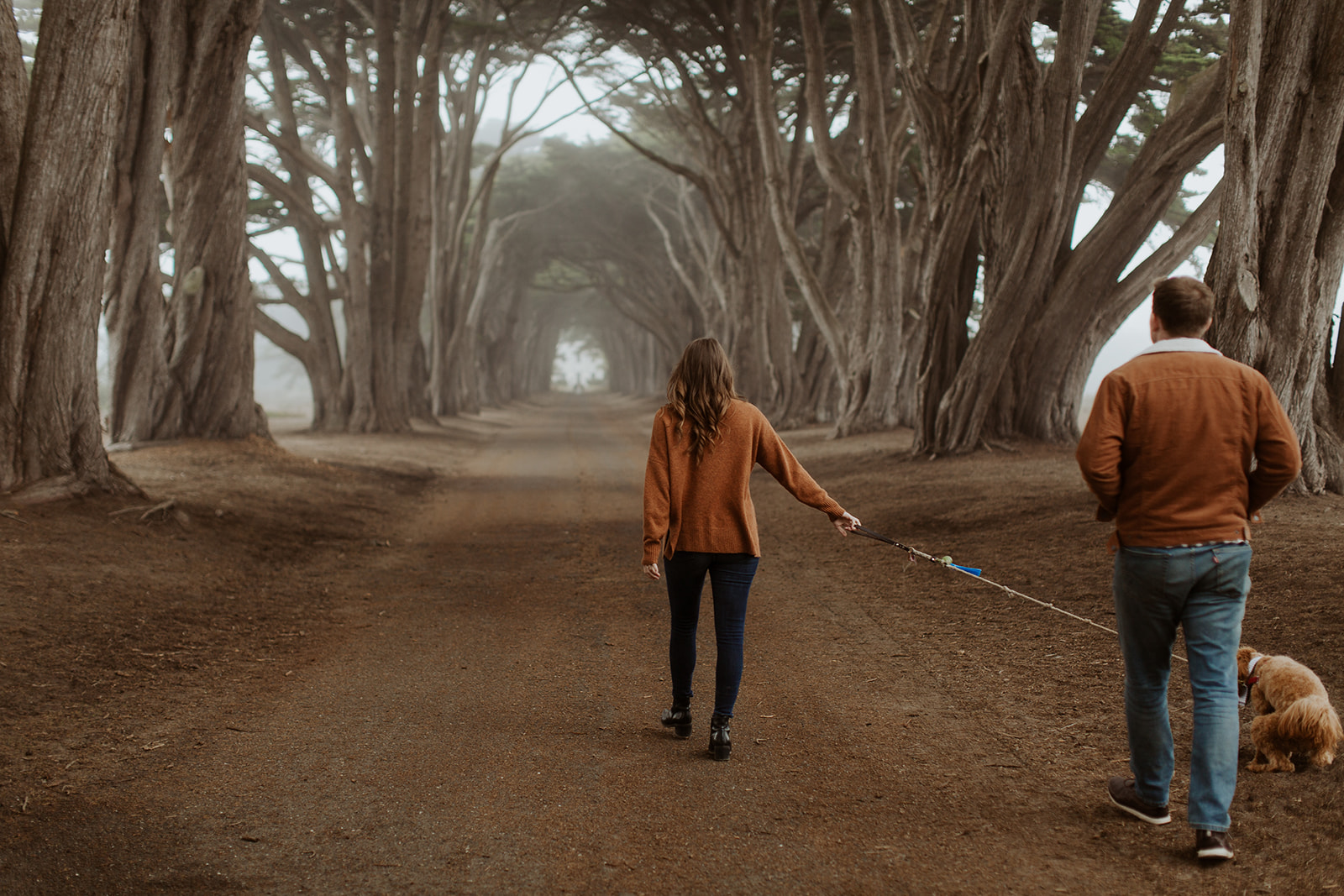couple has fun at foggy point reyes adventurous engagement