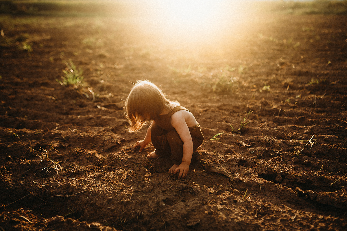 small child playing in a dirt field drenched in beautiful golden backlight in north carolina