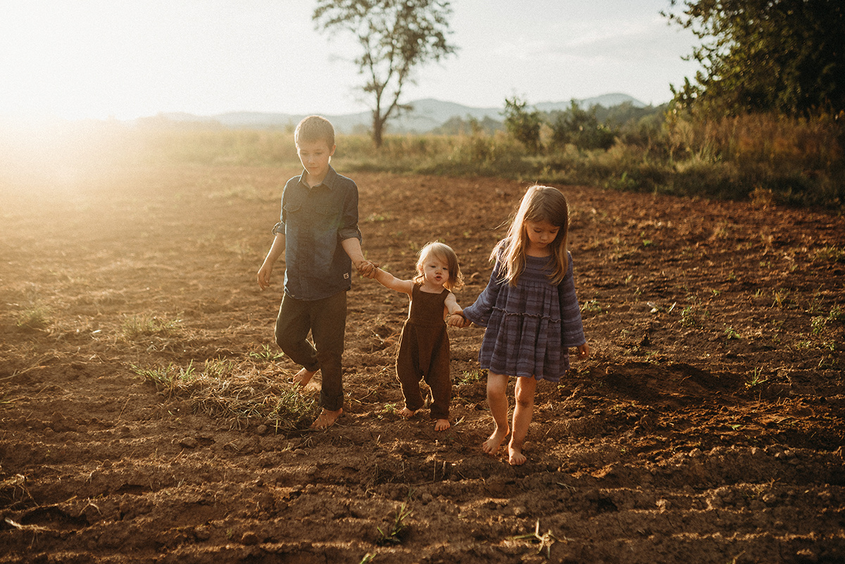 three children holding hands walking through a dirt field drenched in beautiful golden backlight in north carolina