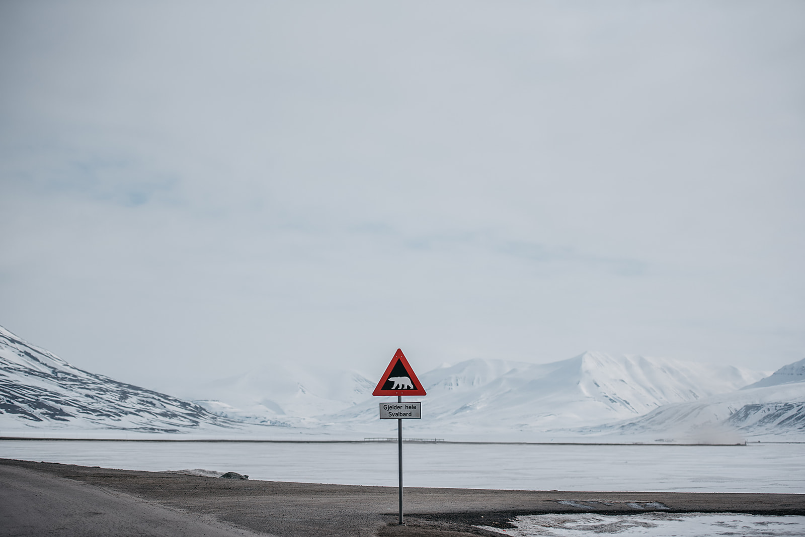 polar bear sign outside of Longyearbyen on Svalbard